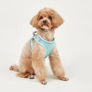 Dog Hand Holding Rope Vest Small Dog Dog Leash Teddy Bichon Breathable Chest Strap Pomeranian Puppy Small Dog Leash